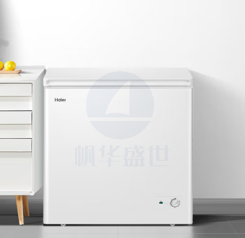 海尔(Haier)200升低霜冰柜家用商用 冷藏柜冷冻柜转换母乳小冰柜商用小型冰箱冷柜BC/BD-200GHDT