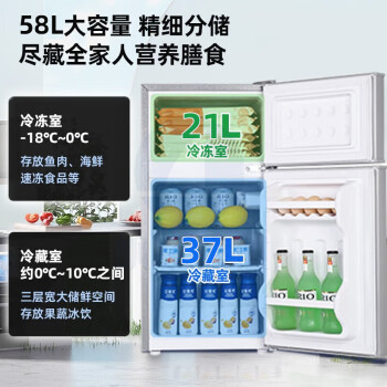 新飞(Frestec)新飞小型冰箱双门家用冷藏冷冻小冰箱租房宿舍迷你电冰箱办公室节能保鲜安静运行省电低噪电冰箱一级能效BCD-76A128LS双门灰