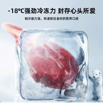 新飞(Frestec)新飞小型冰箱双门家用冷藏冷冻小冰箱租房宿舍迷你电冰箱办公室节能保鲜安静运行省电低噪电冰箱一级能效BCD-38A108双门银
