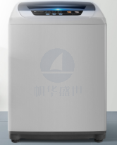 小天鹅 TB55V20 洗衣机