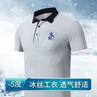 工作服文化衫定制 印logo夏季翻领短袖速爽丝速干冰丝棉工作服polo衫